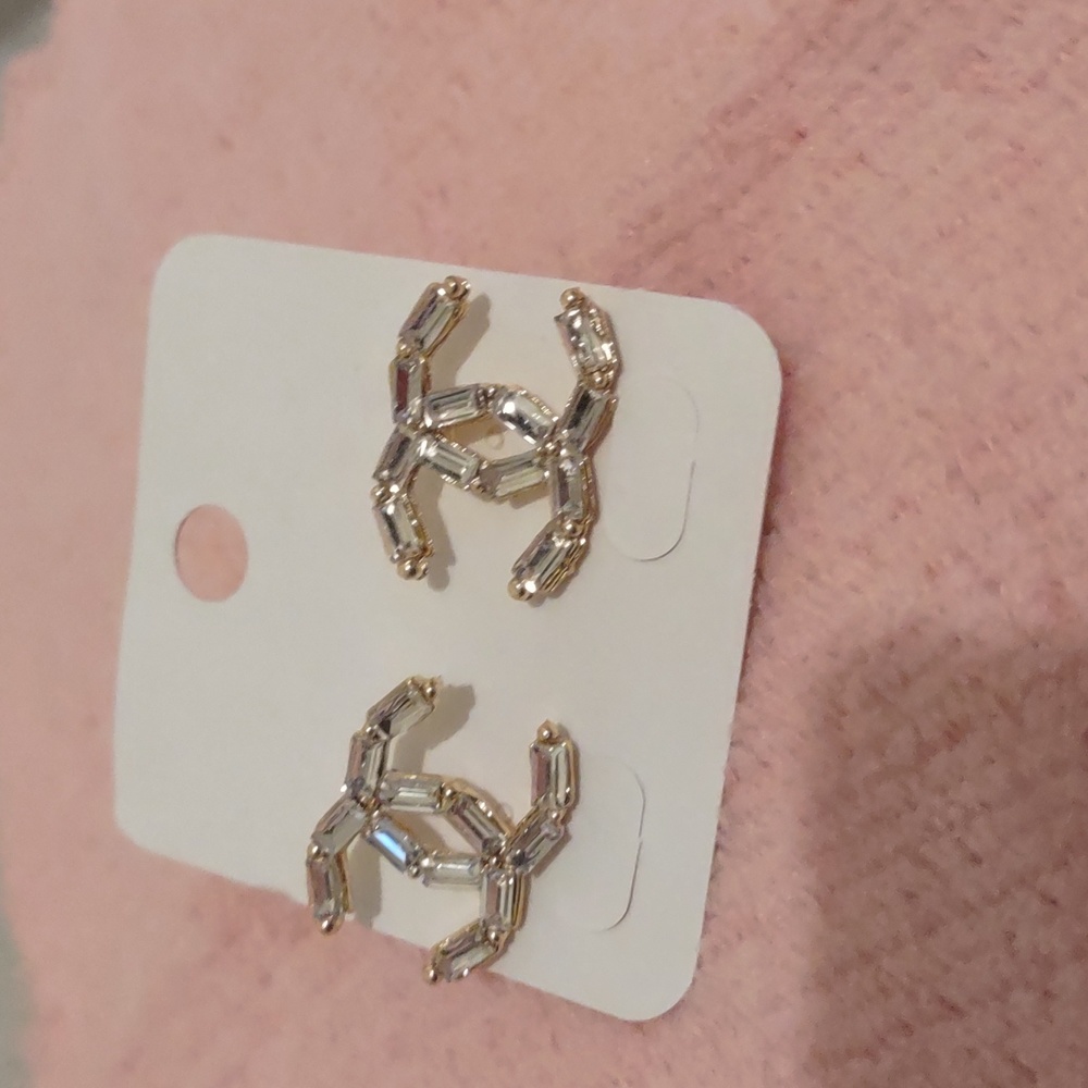 Fashion earrings